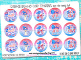 "Party In The USA" - 1" Bottle Cap Images - INSTANT DOWNLOAD