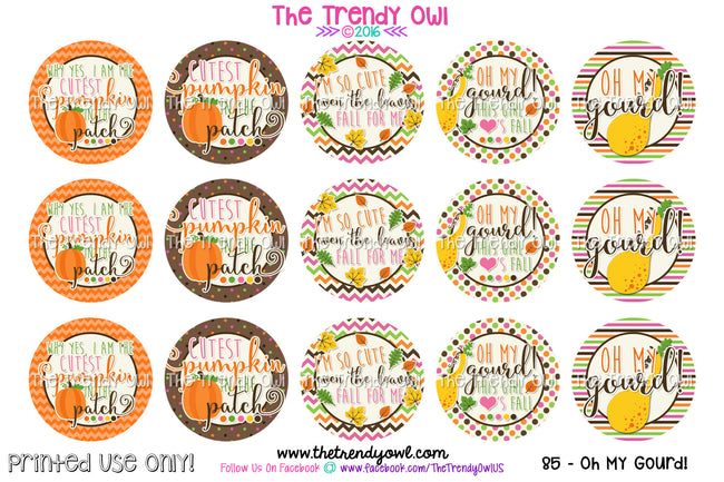 Cutest Pumpkin - "Oh My Gourd!" - Fall Inspired - 1" Bottle Cap Images - INSTANT DOWNLOAD