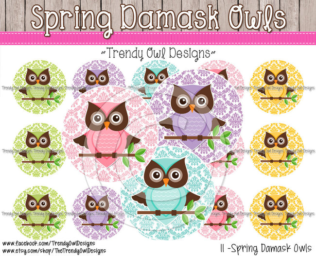 Spring Damask Owls - 1" BOTTLE CAP IMAGES - INSTANT DOWNLOAD